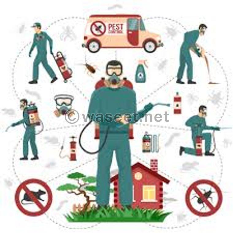 Pest Control Company in Ajman  0