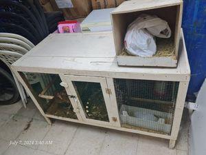 Chicken with cage and accessories