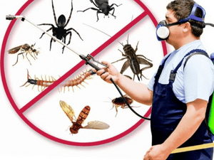 Al Ikhlas Pest Control Company 