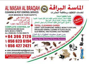 AL MASAH PEST CONTROL SERVICE 
