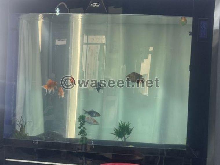 fish tank for sale 0