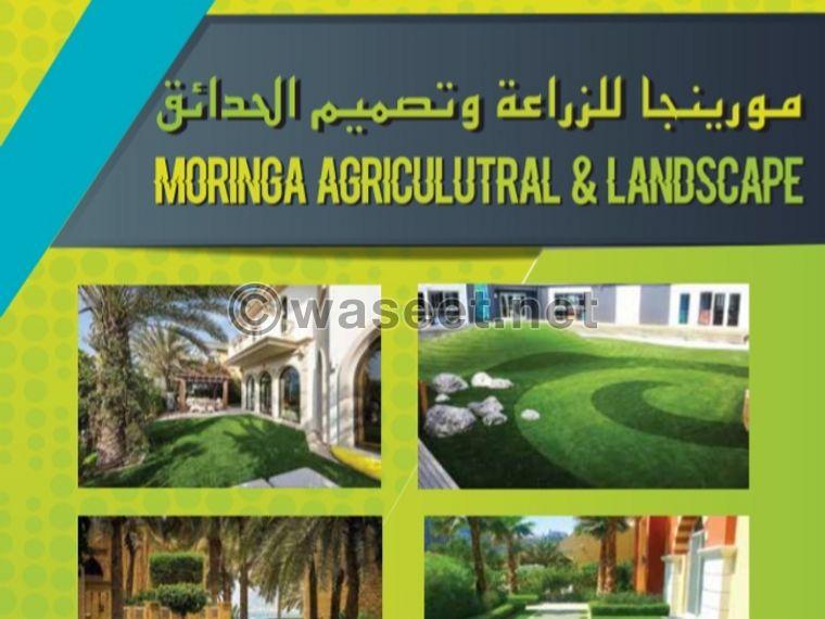 Moringa Landscaping and maintenance 0