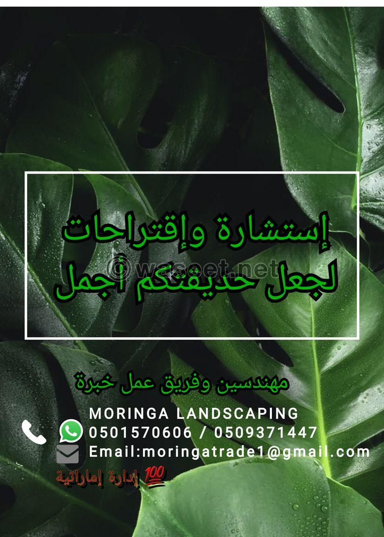 Moringa Landscaping and maintenance 2