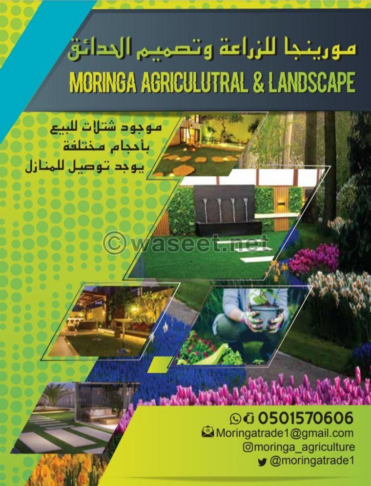 Garden design and implementation at the best prices and perfection 1