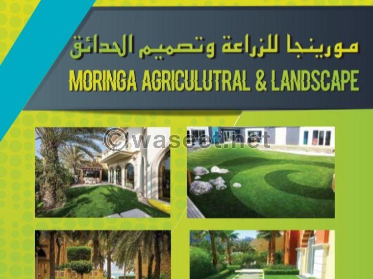 Garden design and implementation at the best prices and perfection 0