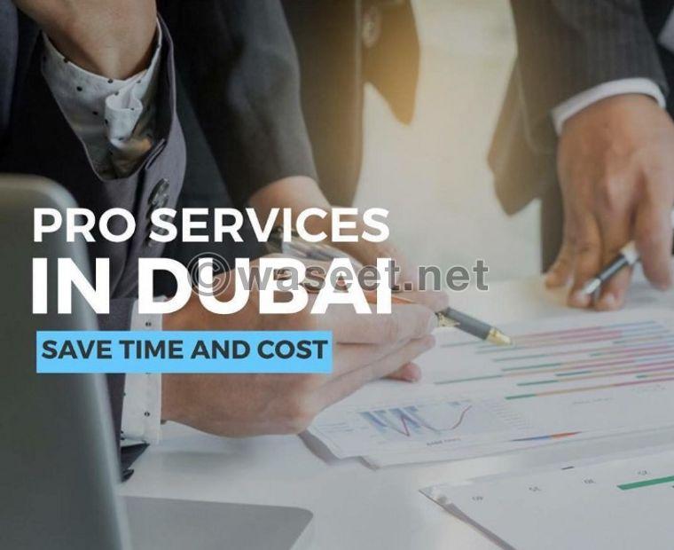 Professional services for professionals in Dubai 0