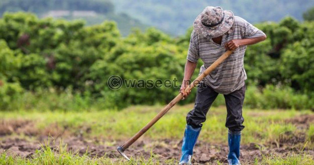 للبيع مزارع في منطقة العجبان حرز بمواقع مختلفة  7