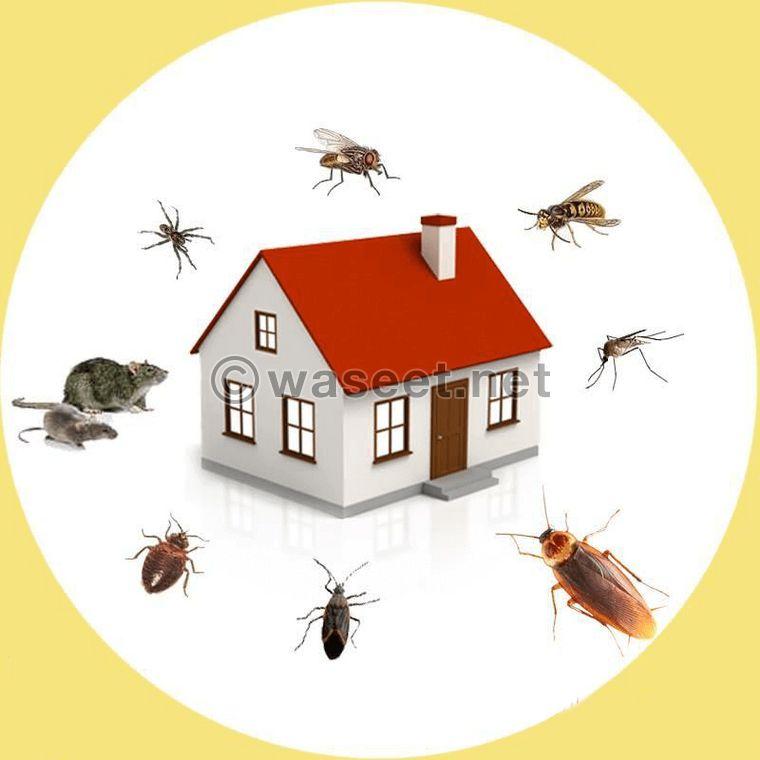 Professional pest removal services in Al Ain and its suburbs 1