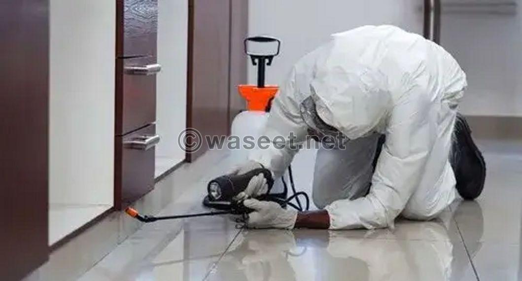 Professional pest removal services in Al Ain and its suburbs 2