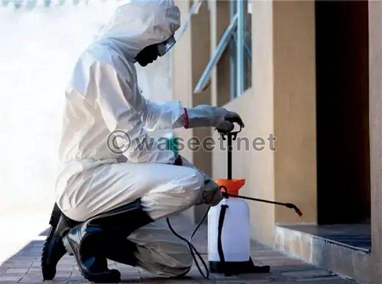 Professional pest removal services in Al Ain and its suburbs 3