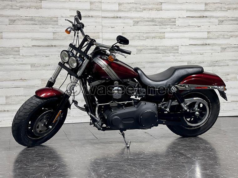 2015 Harley Davidson Dyna Fat Bob available 1