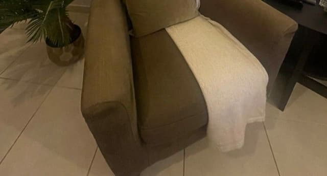 A clean sofa 