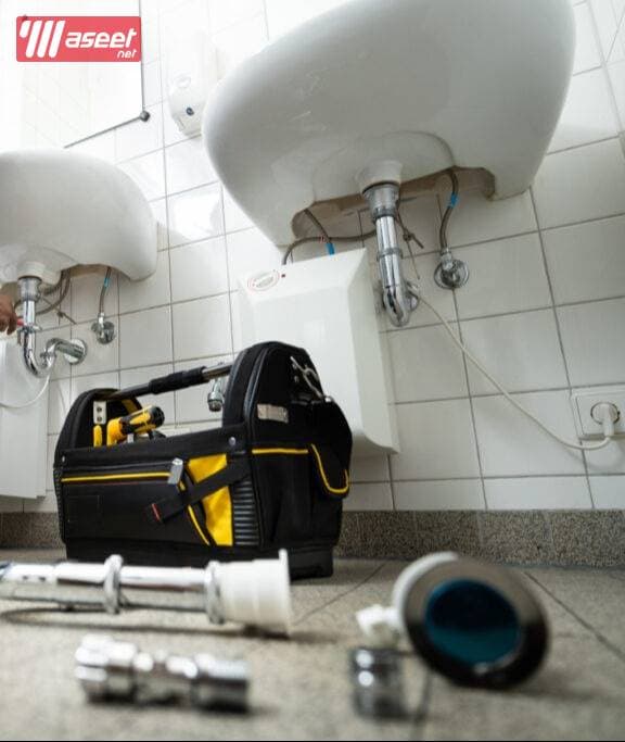 Professional plumbers