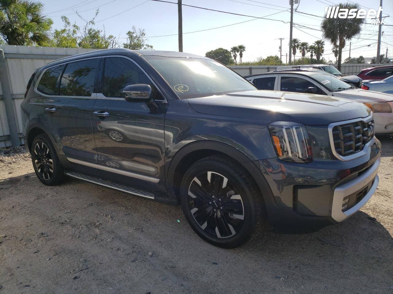 2024 Kia Telluride Sx 3