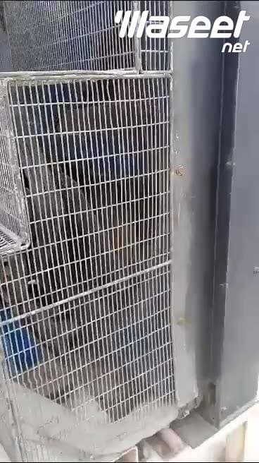 إف جي ويلسون P800P1 800 كيلو فولت أمبير 2