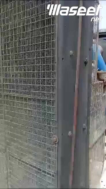 إف جي ويلسون P800P1 800 كيلو فولت أمبير 8