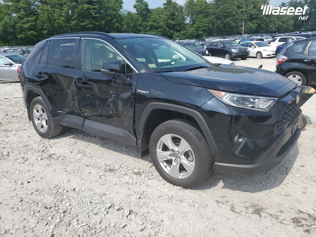 2019 Toyota RAV4 Xle 1