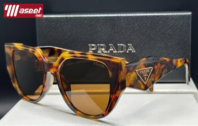 Royal Palace glasses and optical box 9