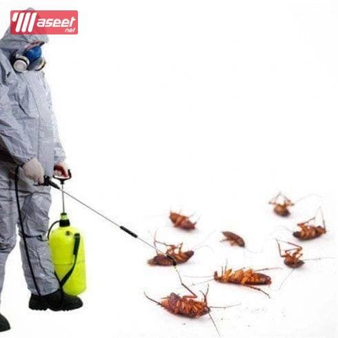 Pest control company   1