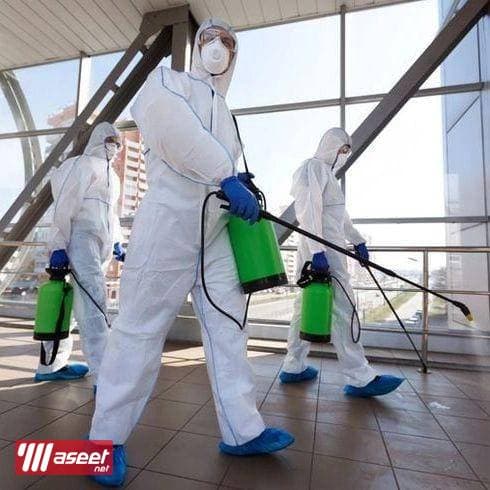 Pest control company   2