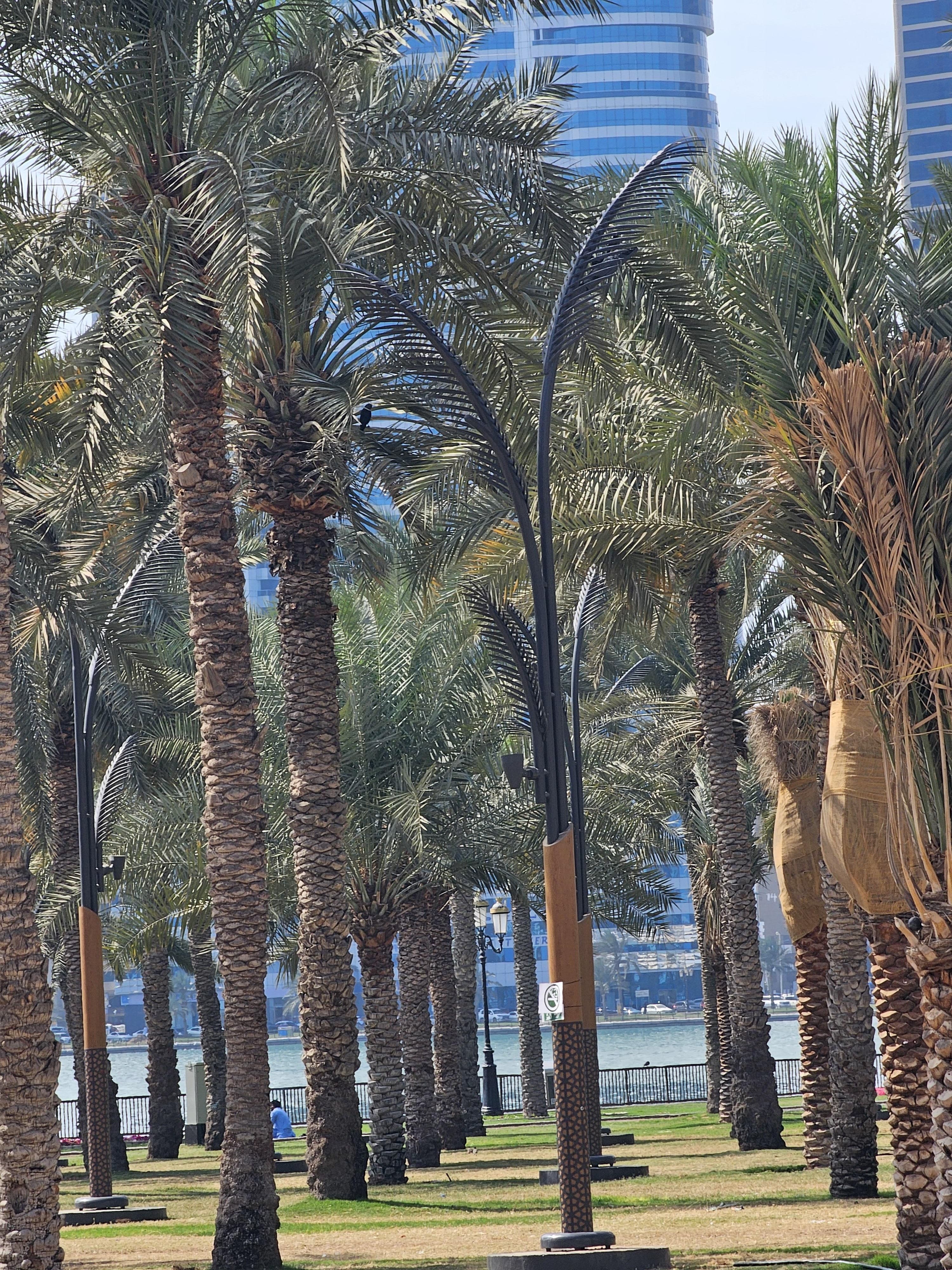 To Buy Land in Al Suyoh, Sharjah 0