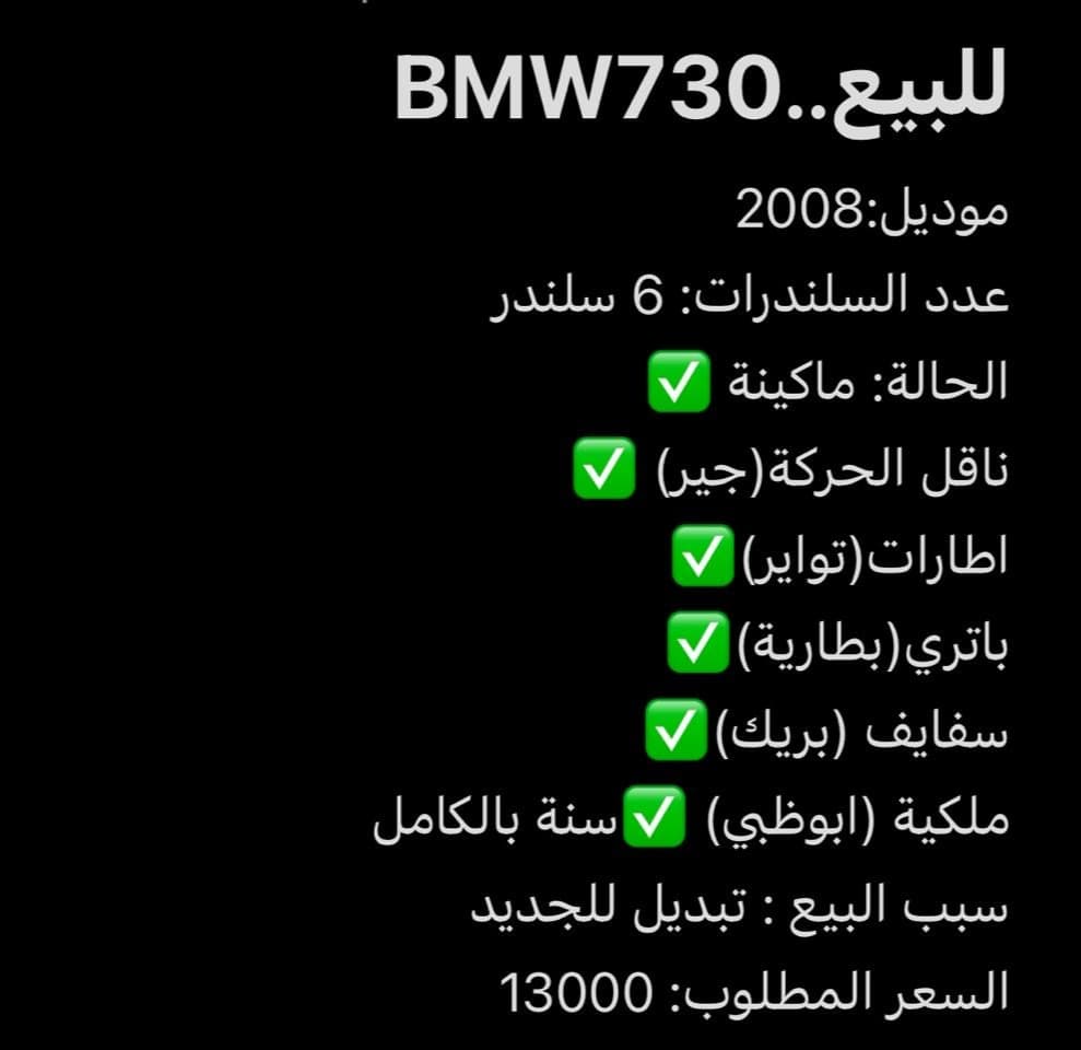 BMW 730 موديل 2008 7