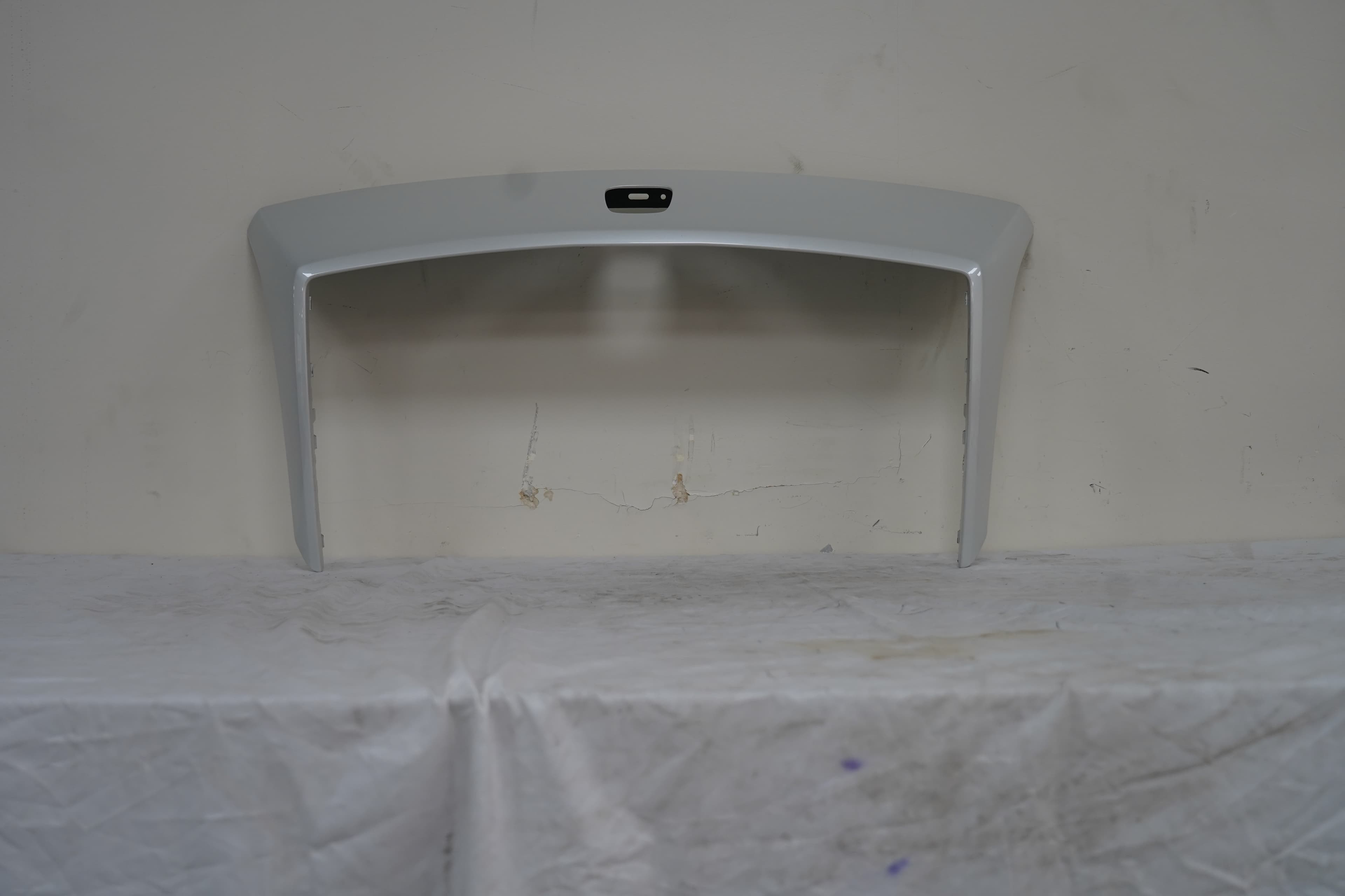 Rolls Royce Dawn Front Cover Radiator Grille White OEM 0