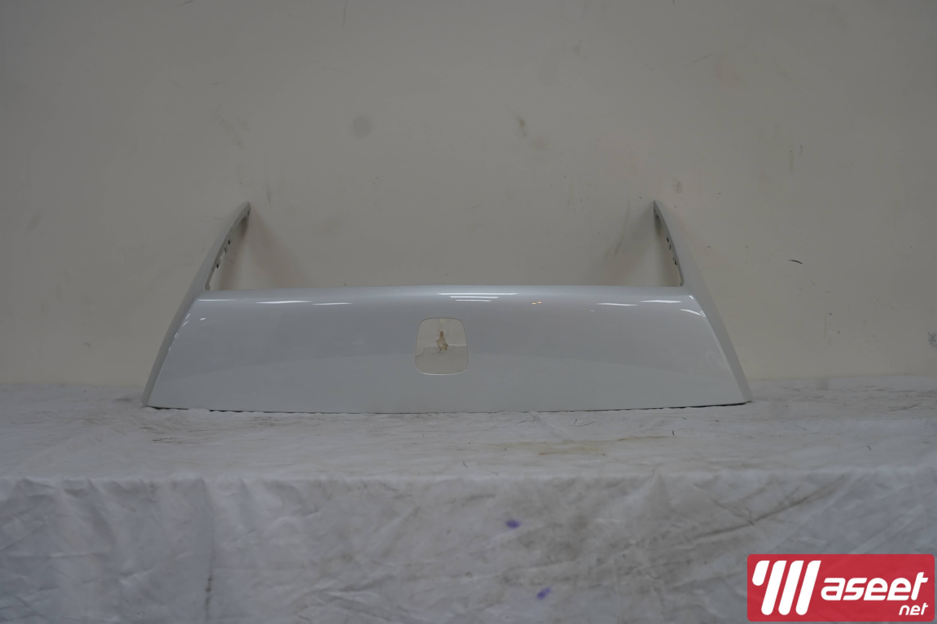 Rolls Royce Dawn Front Cover Radiator Grille White OEM 1