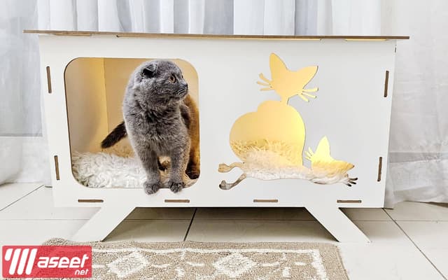 A cat house made of wood