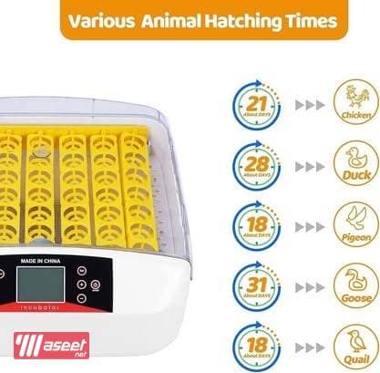 Automatic 56 Eggs Incubator with Built-in Egg Turner 3