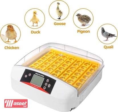 Automatic 56 Eggs Incubator with Built-in Egg Turner 5