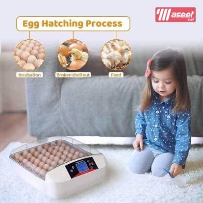 Automatic 56 Eggs Incubator with Built-in Egg Turner 6