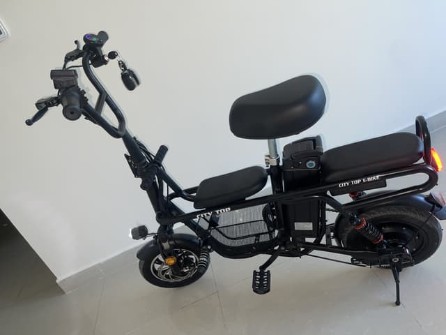 Electric Bike Family Ebike with Storage Basket