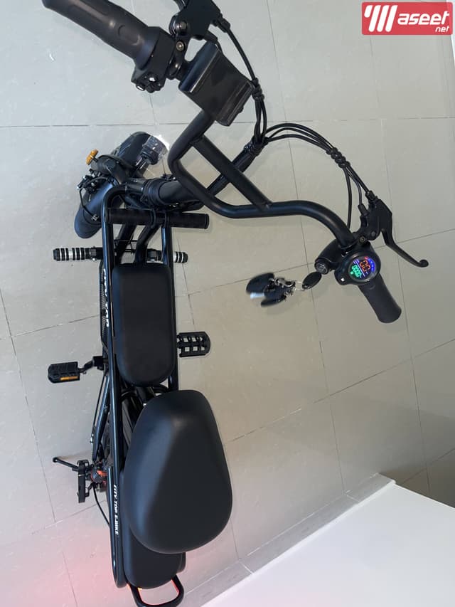 Electric Bike Family Ebike with Storage Basket