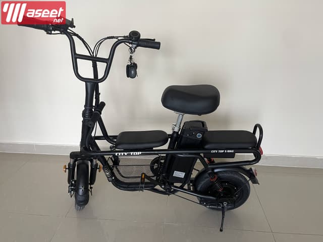 Electric Bike Family Ebike with Storage Basket