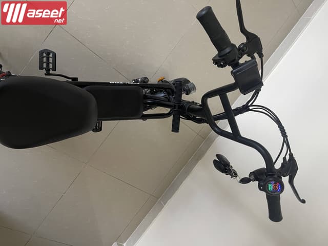 Electric Bike Family Ebike with Storage Basket