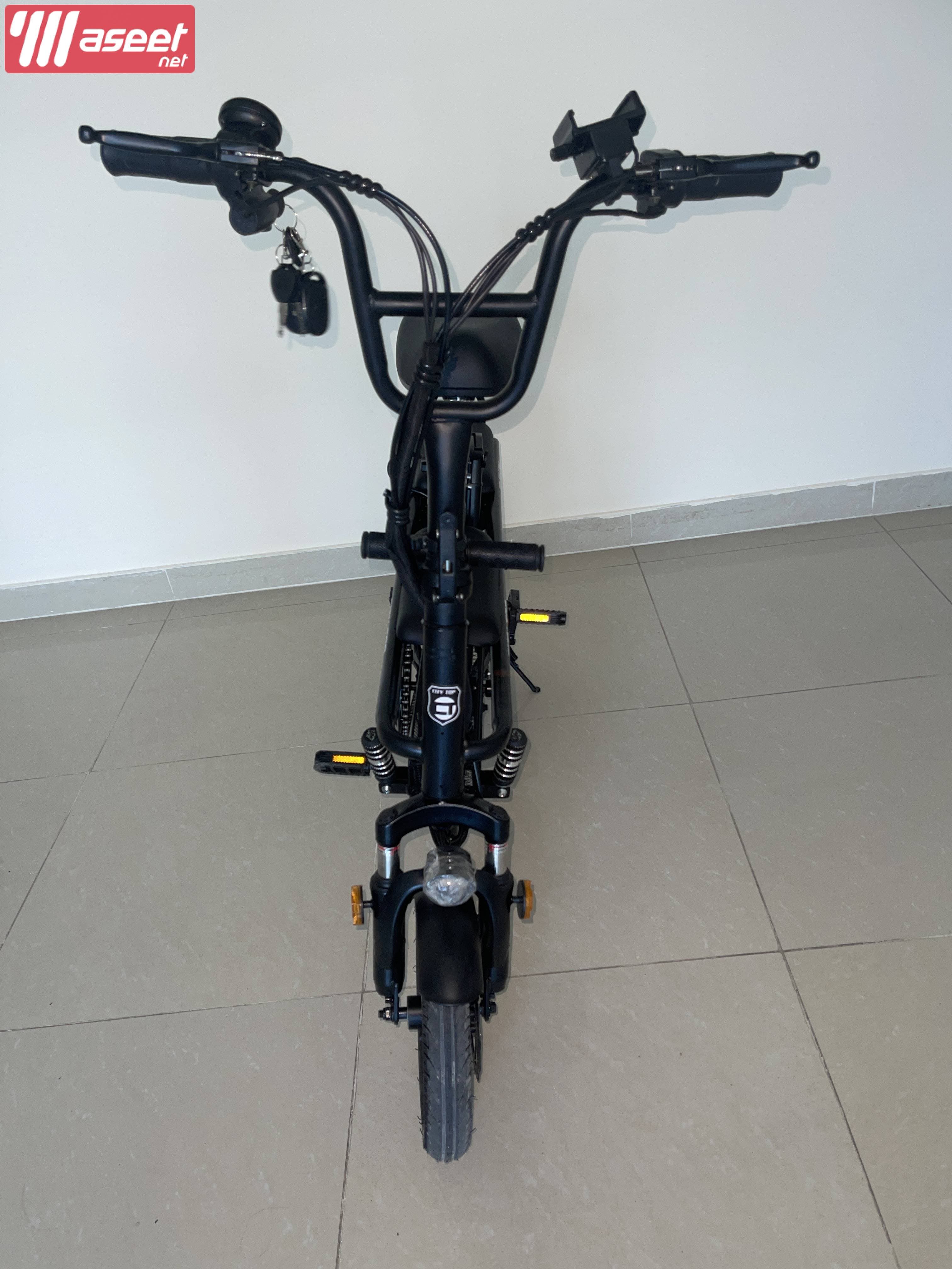 Electric Bike Family Ebike with Storage Basket 8