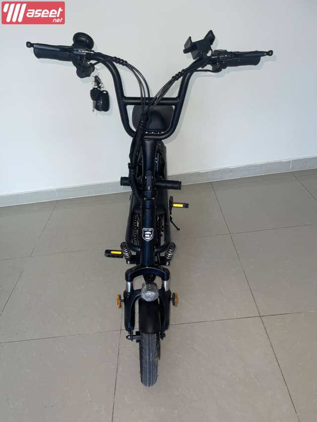 Electric Bike Family Ebike with Storage Basket