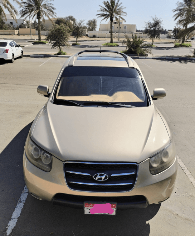 Hyundai Santa Fe 2009 8