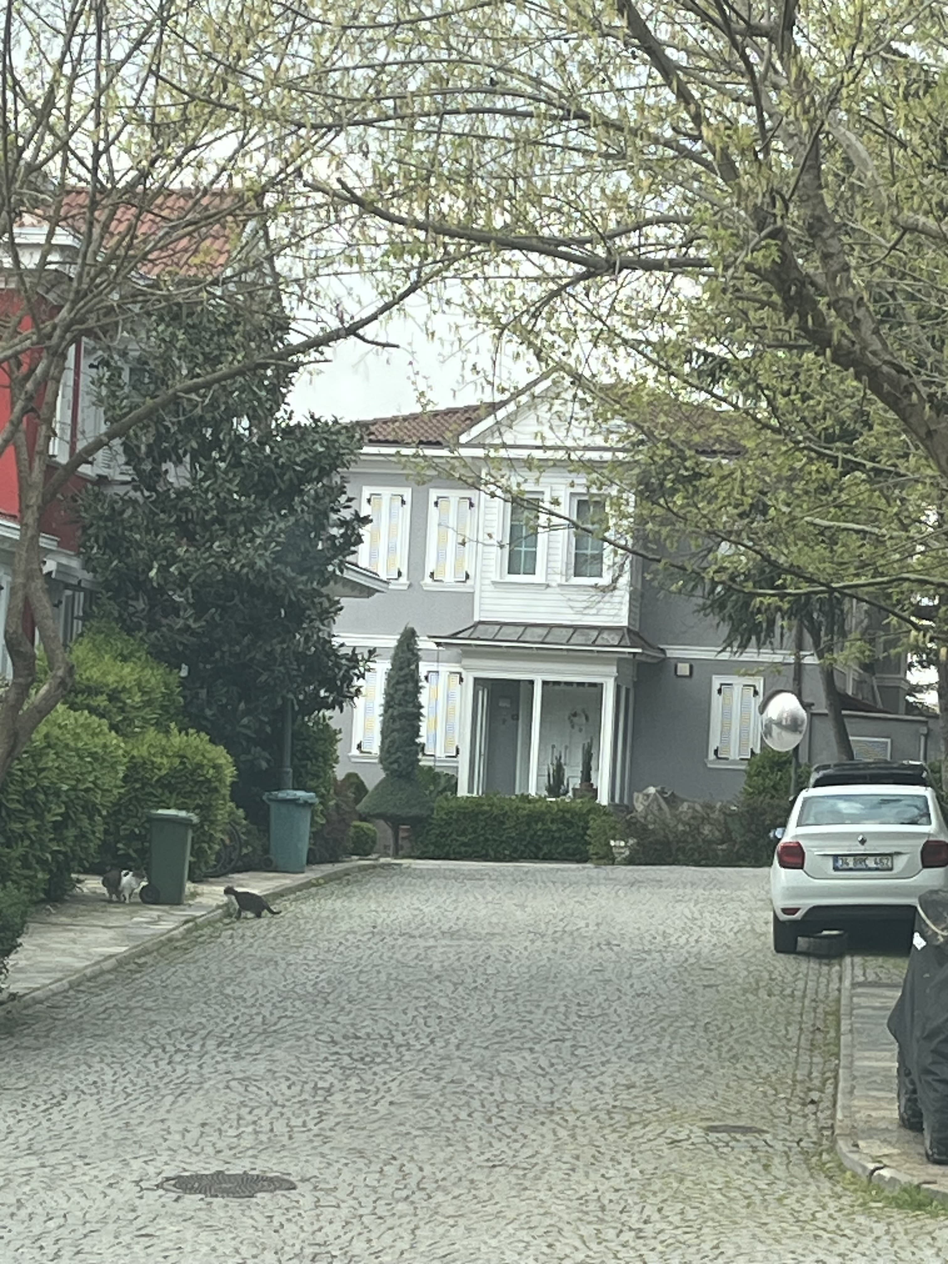 5 B/R Villa for sale in istanbul turkey 0