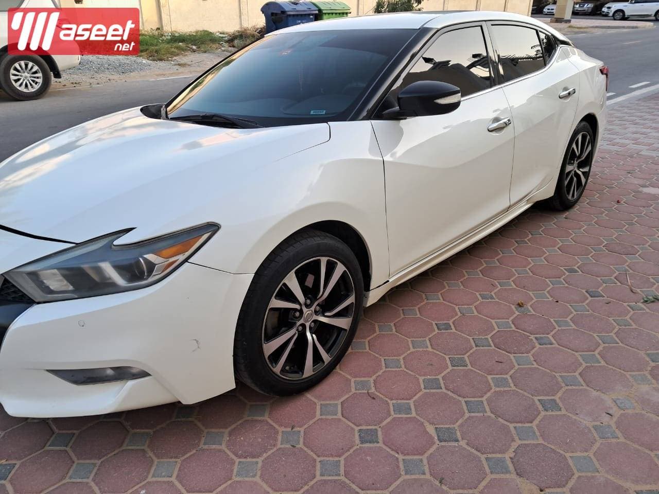 2018 Maxima SV 1