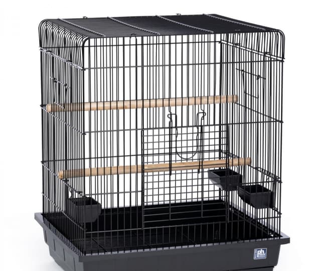 A large bird cage in excellent condition
