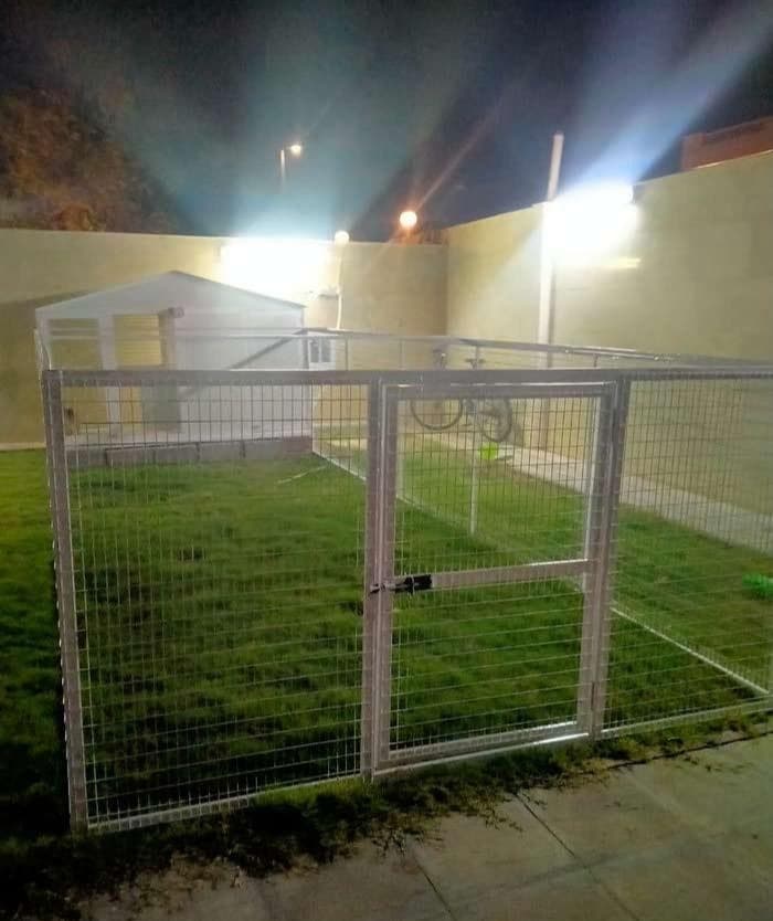 Dog house uae 3