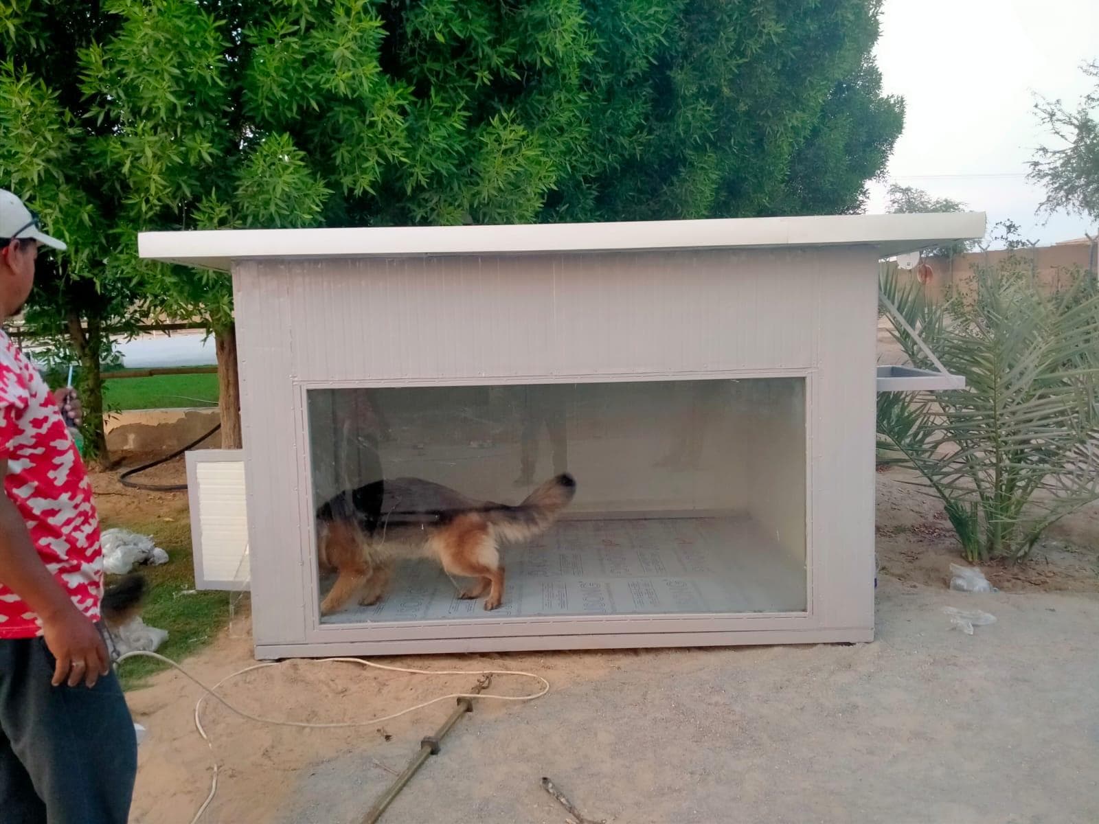 Dog house uae 1