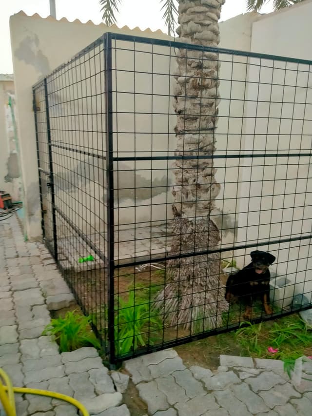 Dog house uae