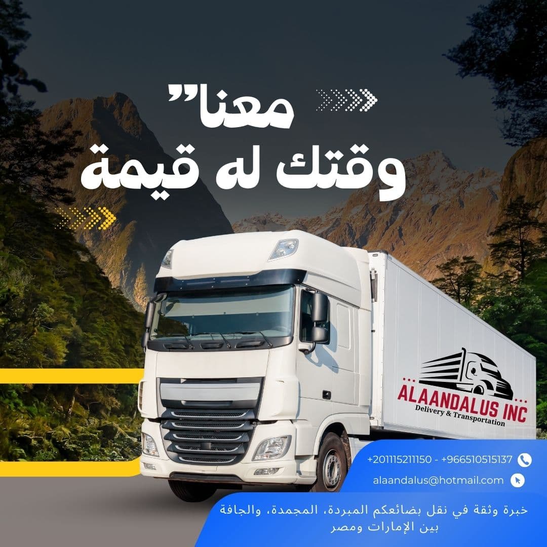 We provide fast international transportation services  0