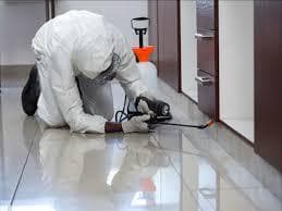 Pest control company in Sharjah 0