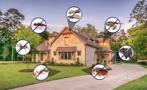 Pest control company in Abu Dhabi 0