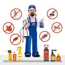 Pest control company in Ajman 0