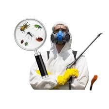 Pest control company in Dubai 0